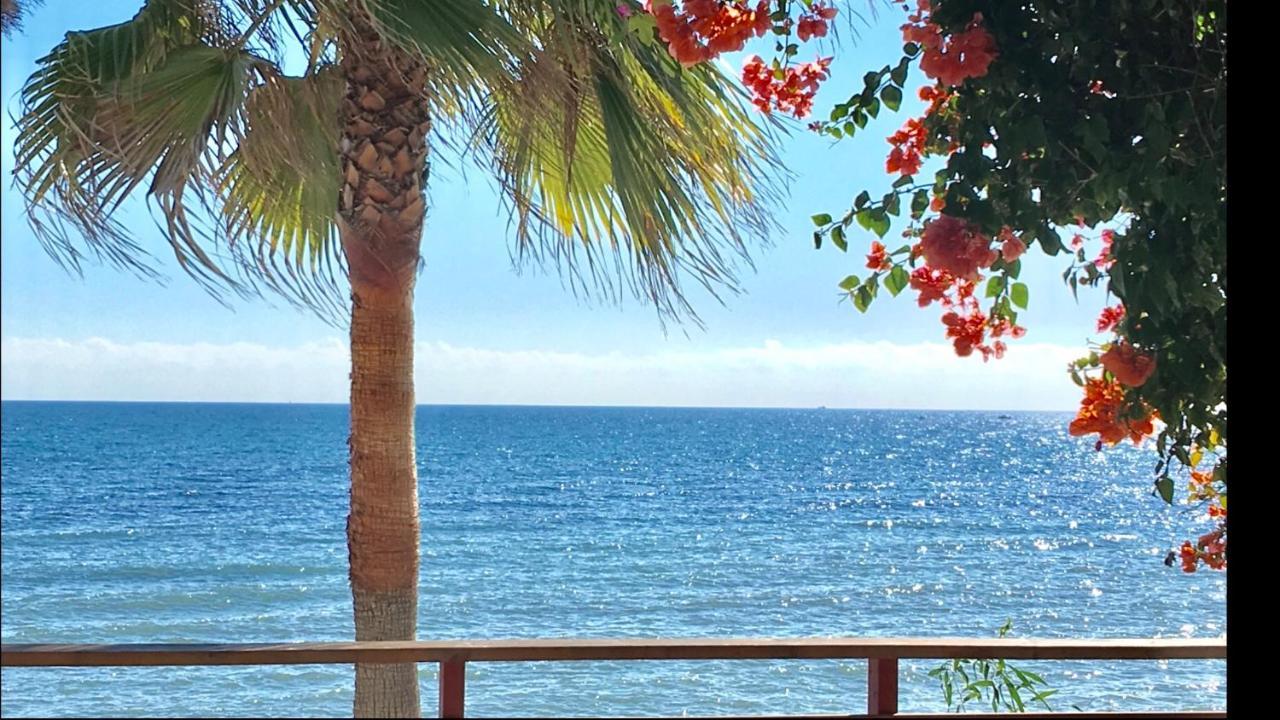 Sitio de Calahonda Mijas Costa - Beachside Apartment-B מראה חיצוני תמונה